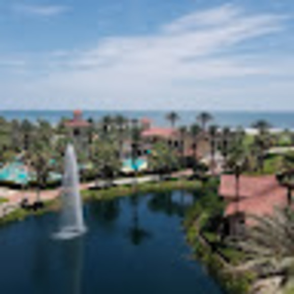 Meet your Posher, Nero - Picture 1 of 1